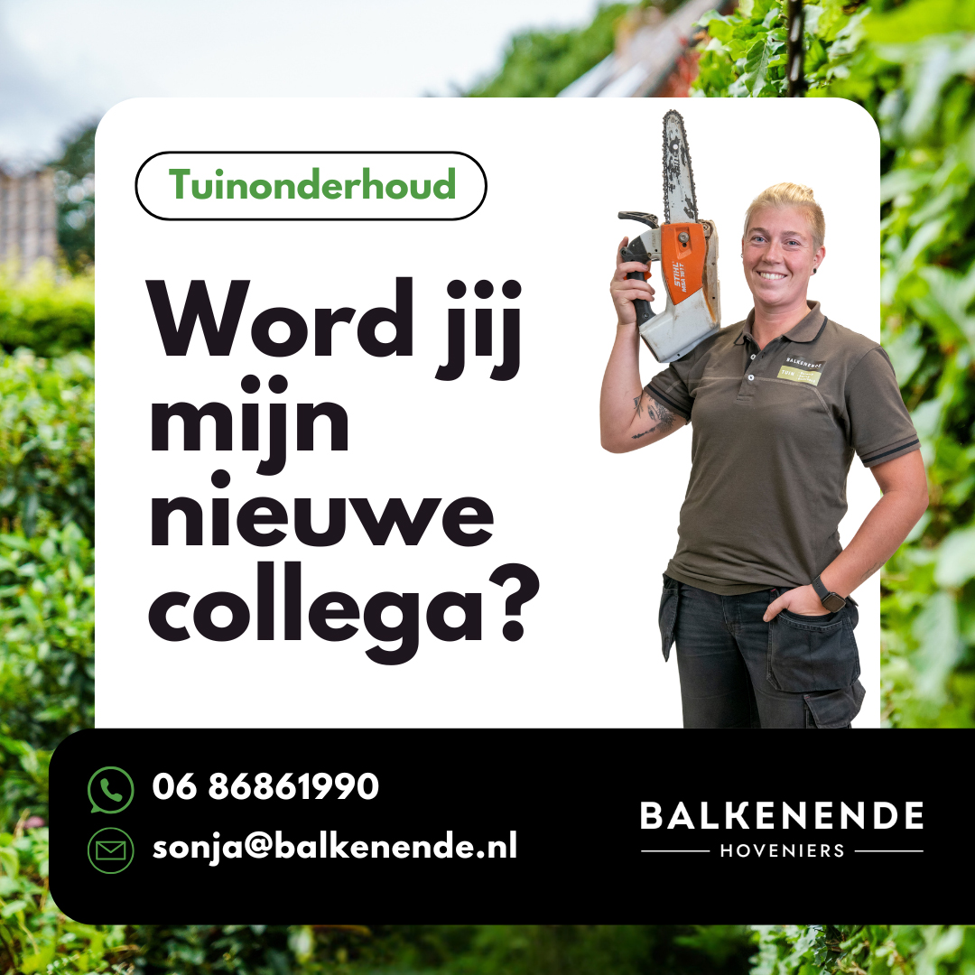 Balkenende Vacature